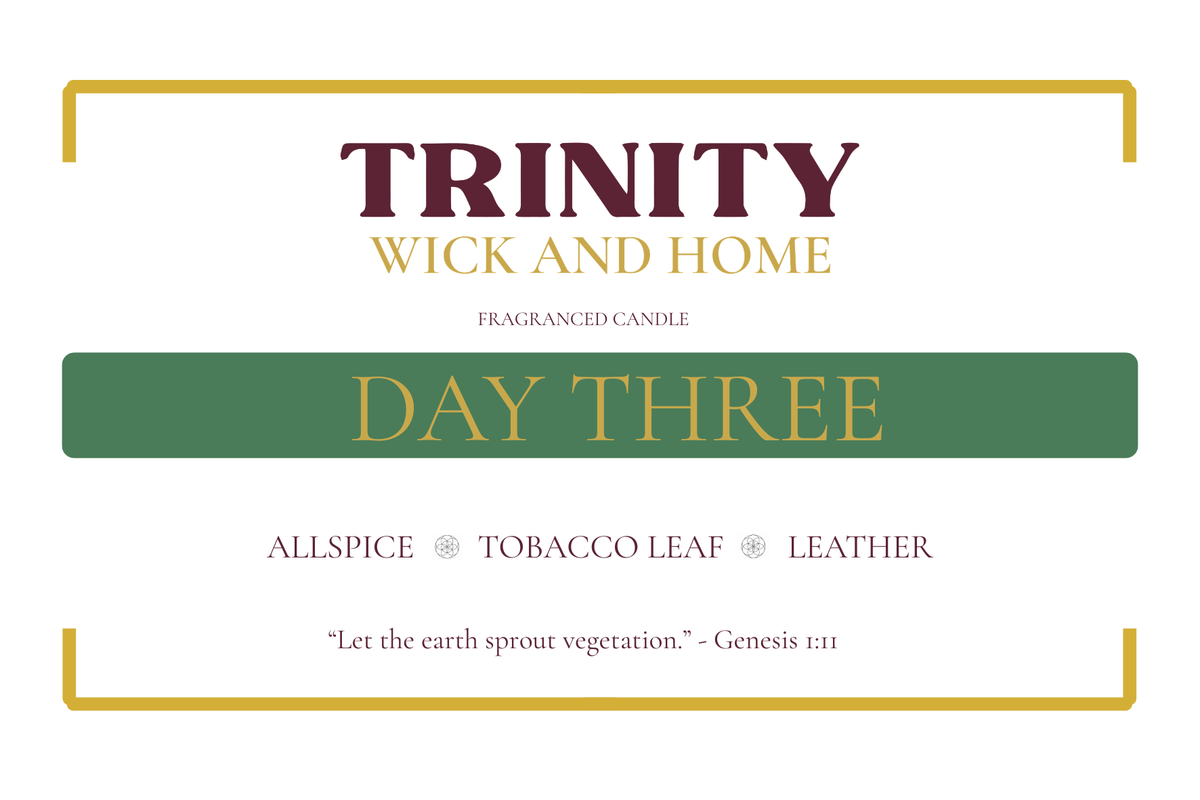 tobacco candle, leather candle, spiced candle, men's candle gift